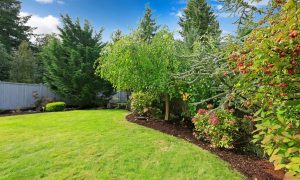 Landscaping design and installation County Kildare