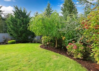 Demolition and site clearing,,, Drainage solutions, Driveway and parking lot paving, Excavation and grading, General construction services, Landscaping design and installation, Patio and walkway installation, Retaining walls and other hardscaping